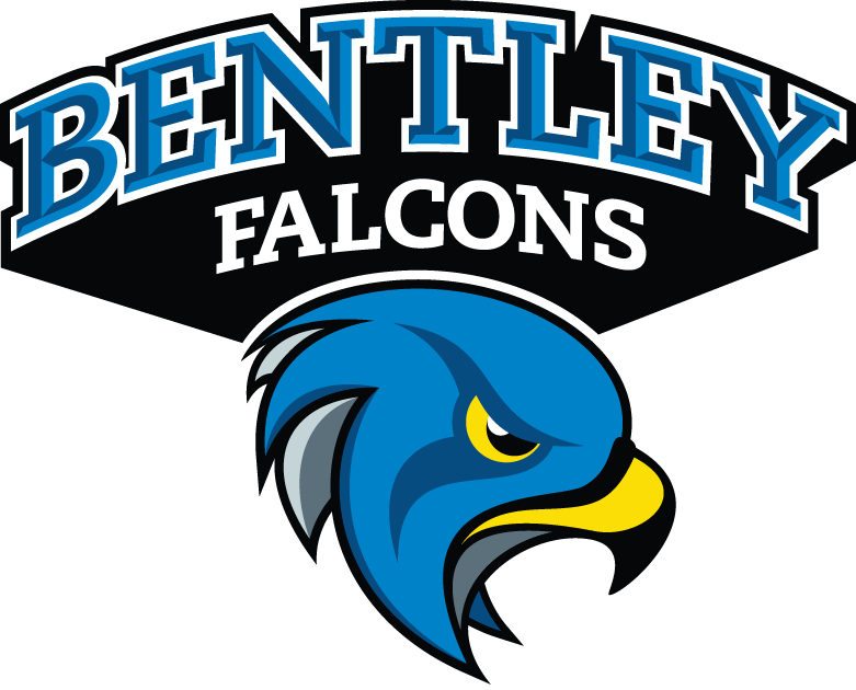 Bentley Falcons 2013-Pres Secondary Logo t shirts iron on transfers